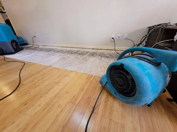 Professional Flood Damage Cleanup technician working in Litchfield, MI